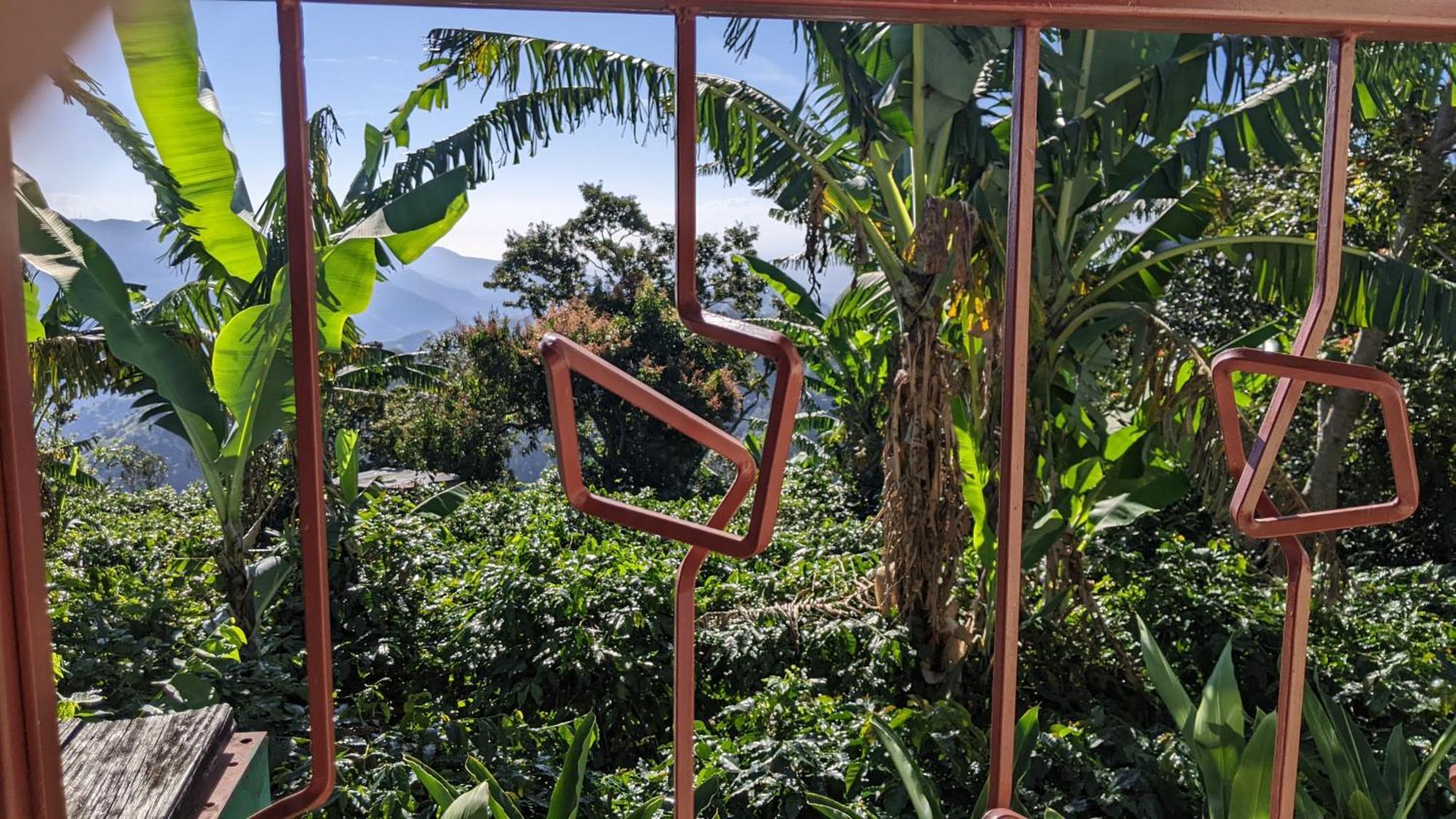 Вілла Lime Tree Farm, Blue Mountains Mavis Bank Екстер'єр фото