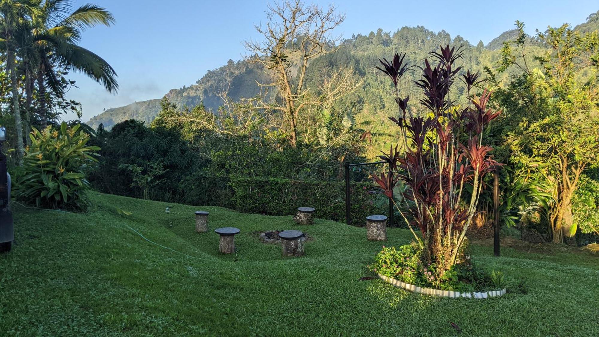 Вілла Lime Tree Farm, Blue Mountains Mavis Bank Екстер'єр фото