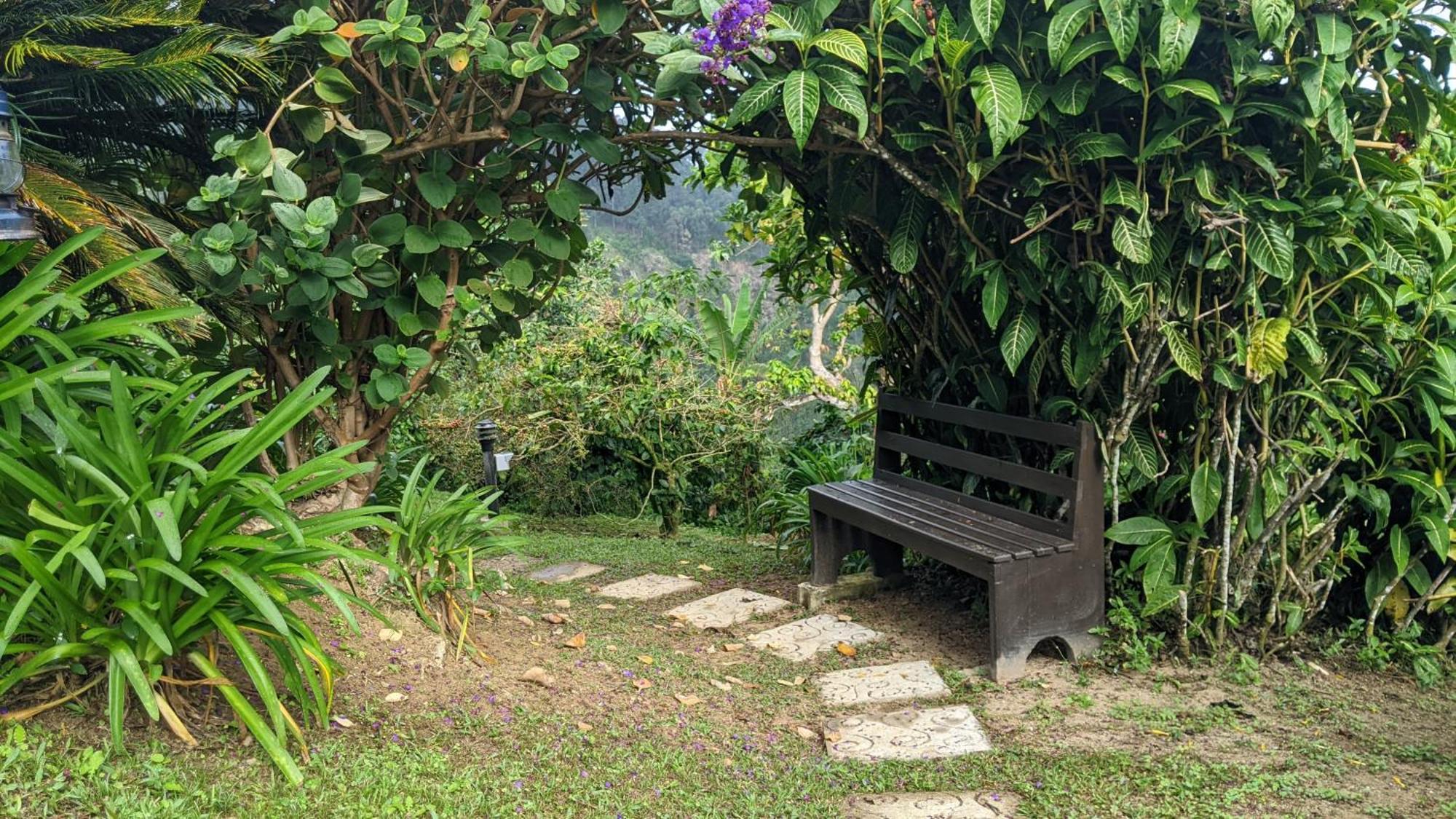 Вілла Lime Tree Farm, Blue Mountains Mavis Bank Екстер'єр фото